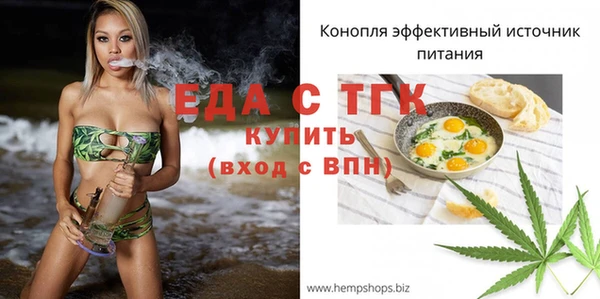 СК Елабуга