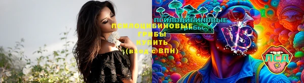 мет Михайлов