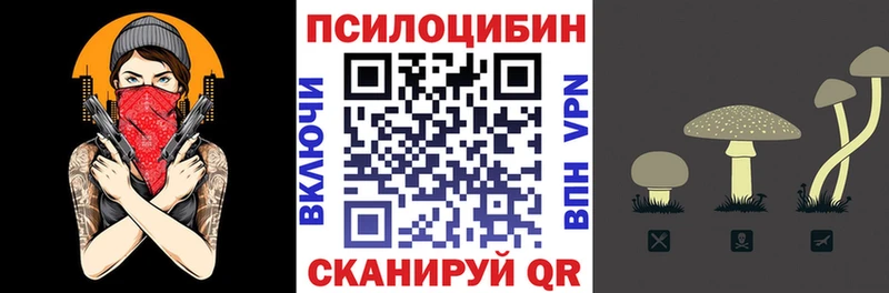 blacksprut маркетплейс  Жирновск  Галлюциногенные грибы Psilocybine cubensis  закладки 
